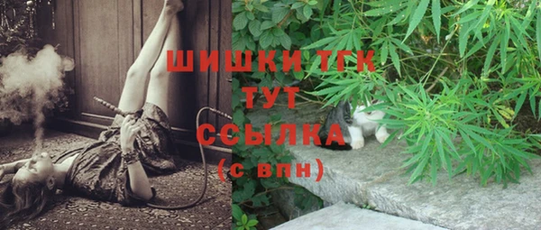 прущий лед Абаза