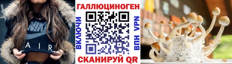KRAKEN маркетплейс  Железногорск-Илимский  Псилоцибиновые грибы MAGIC MUSHROOMS 