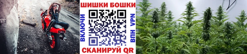 Шишки марихуана Ganja  Железногорск-Илимский 
